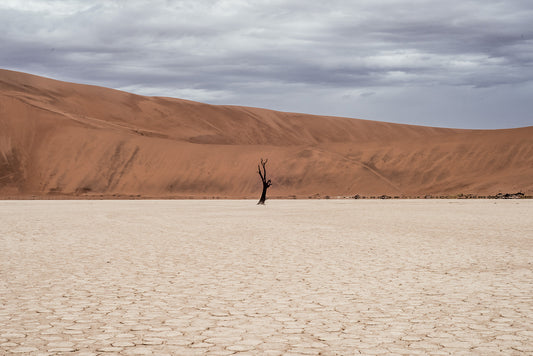 Signs Of Spiritual Dryness (And How To Overcome It)