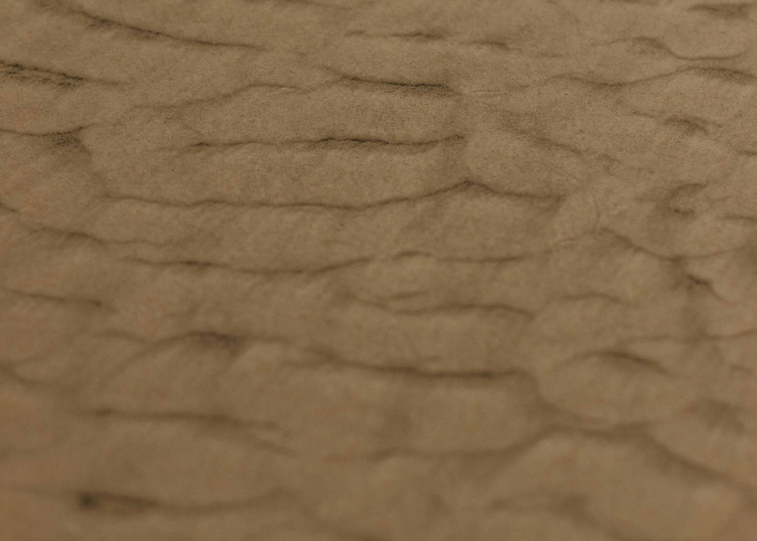 How The Wilderness Season Is Linked To Your Purpose