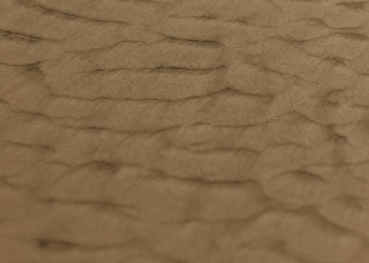 How The Wilderness Season Is Linked To Your Purpose